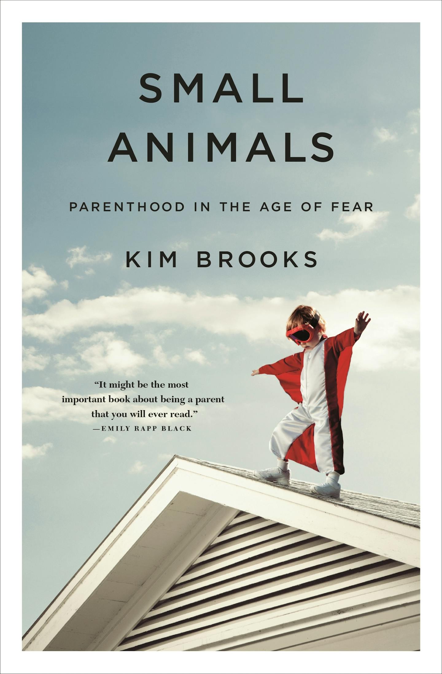 Small Animals, by Kim Brooks