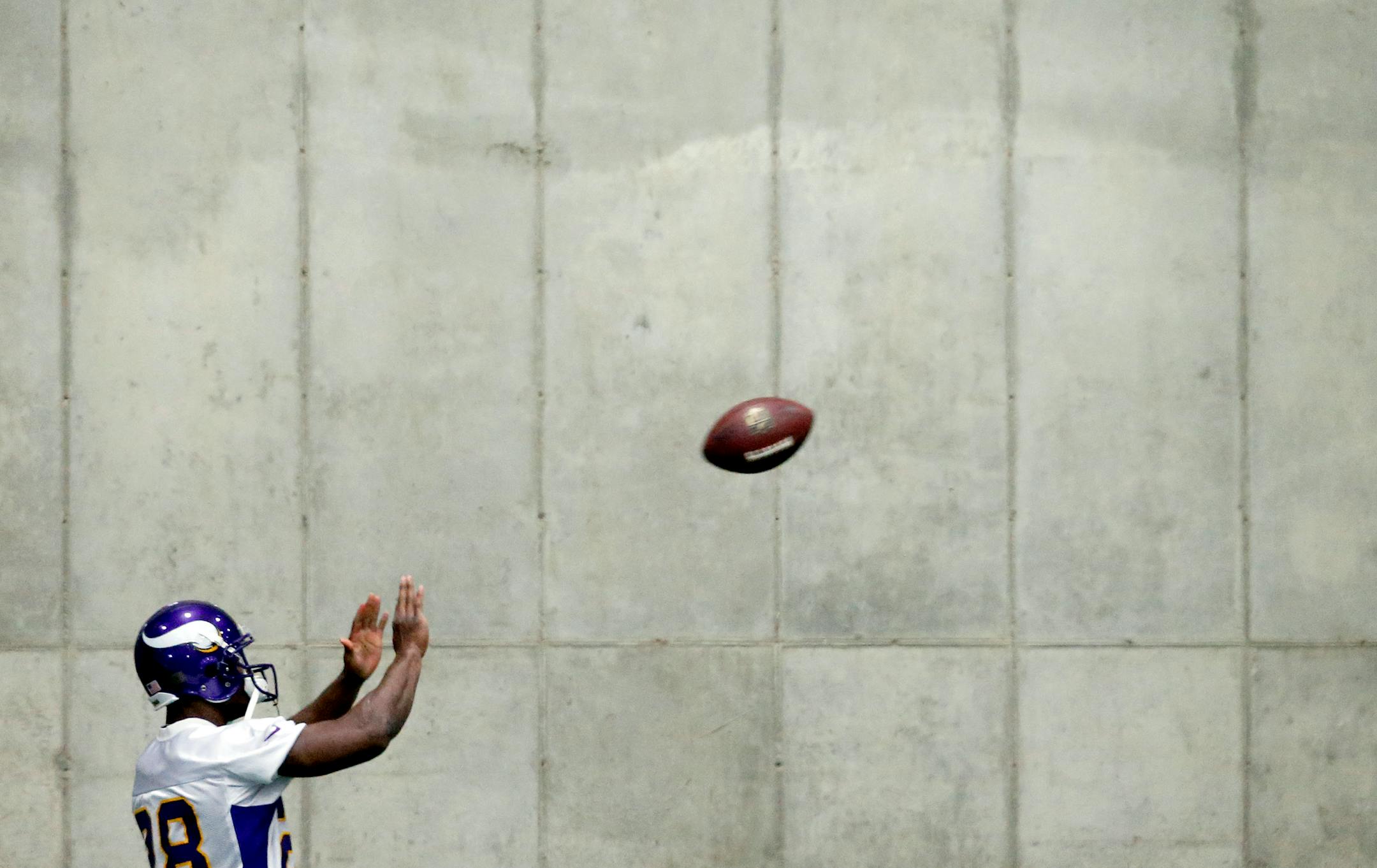 Vikings running back Adrian Peterson played catch with a teammate during practice in January at Winter Park.
