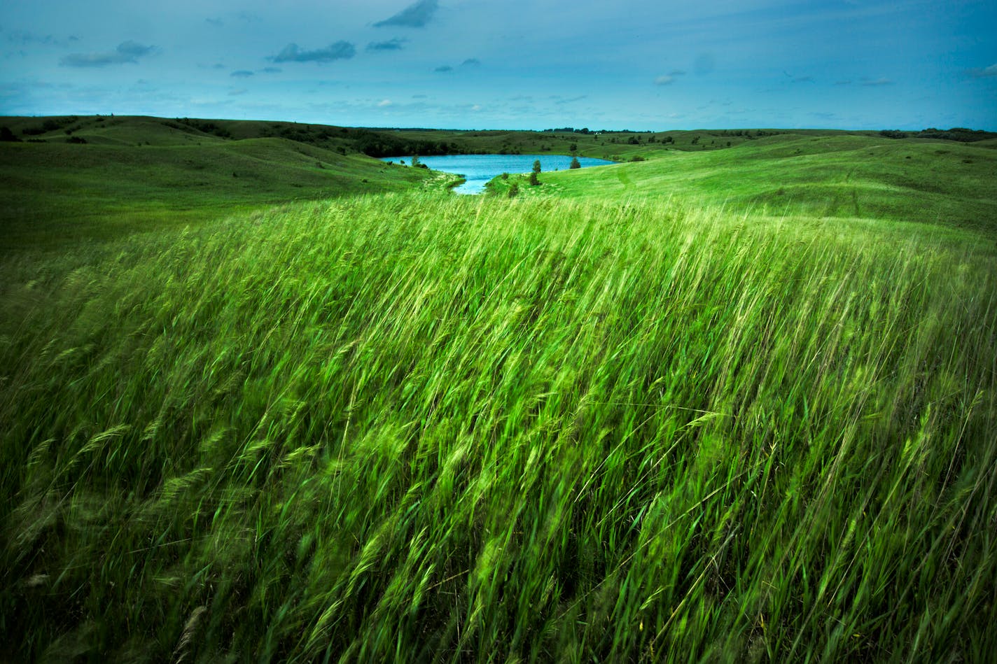 Stand on top of the scenic glacial hills at Glacial Lakes State Park and experience the vast, open prairie which once dominated Minnesota.