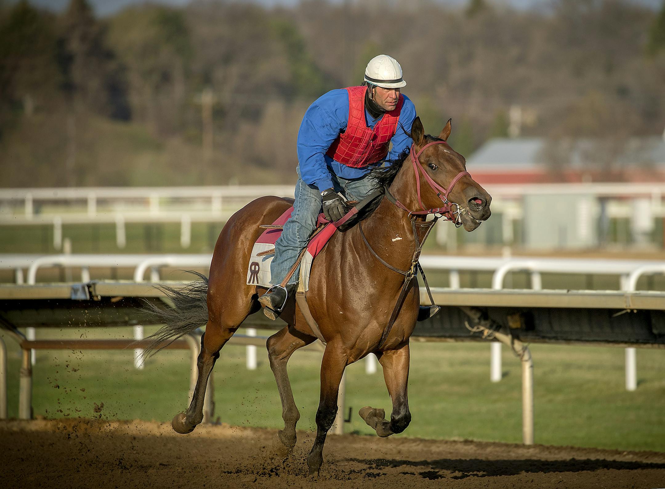 Trainers, jockeys, and staff worked to get ready for Canterbury Park's opening weekend, Wednesday, May 2, 2018 in Shakopee, MN. ] ELIZABETH FLORES ï liz.flores@startribune.com