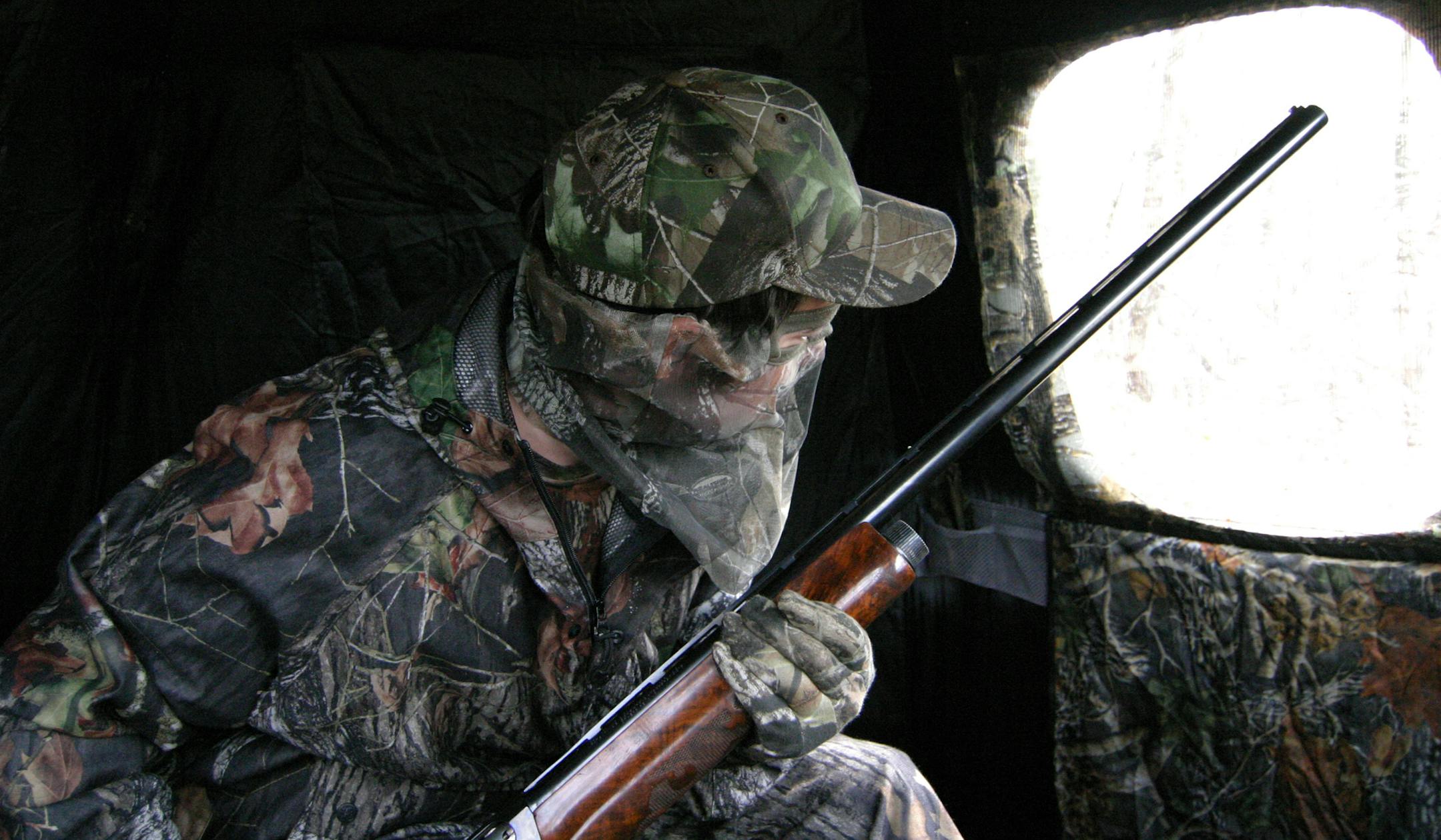 A turkey hunter watched spring unfold from inside a blind.
