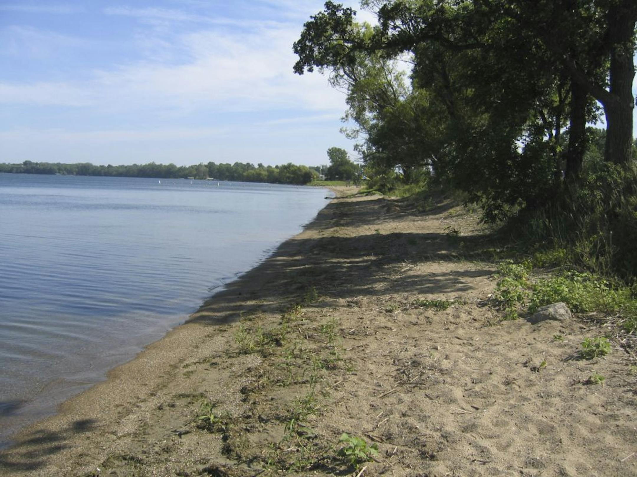 Lake Waconia: shoreline of Paul's parcel.
