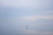 A paddle boarder enjoys the extremely still and iceless conditions on Lake Superior Tuesday, Feb. 06, 2024, near Park Point in Duluth.