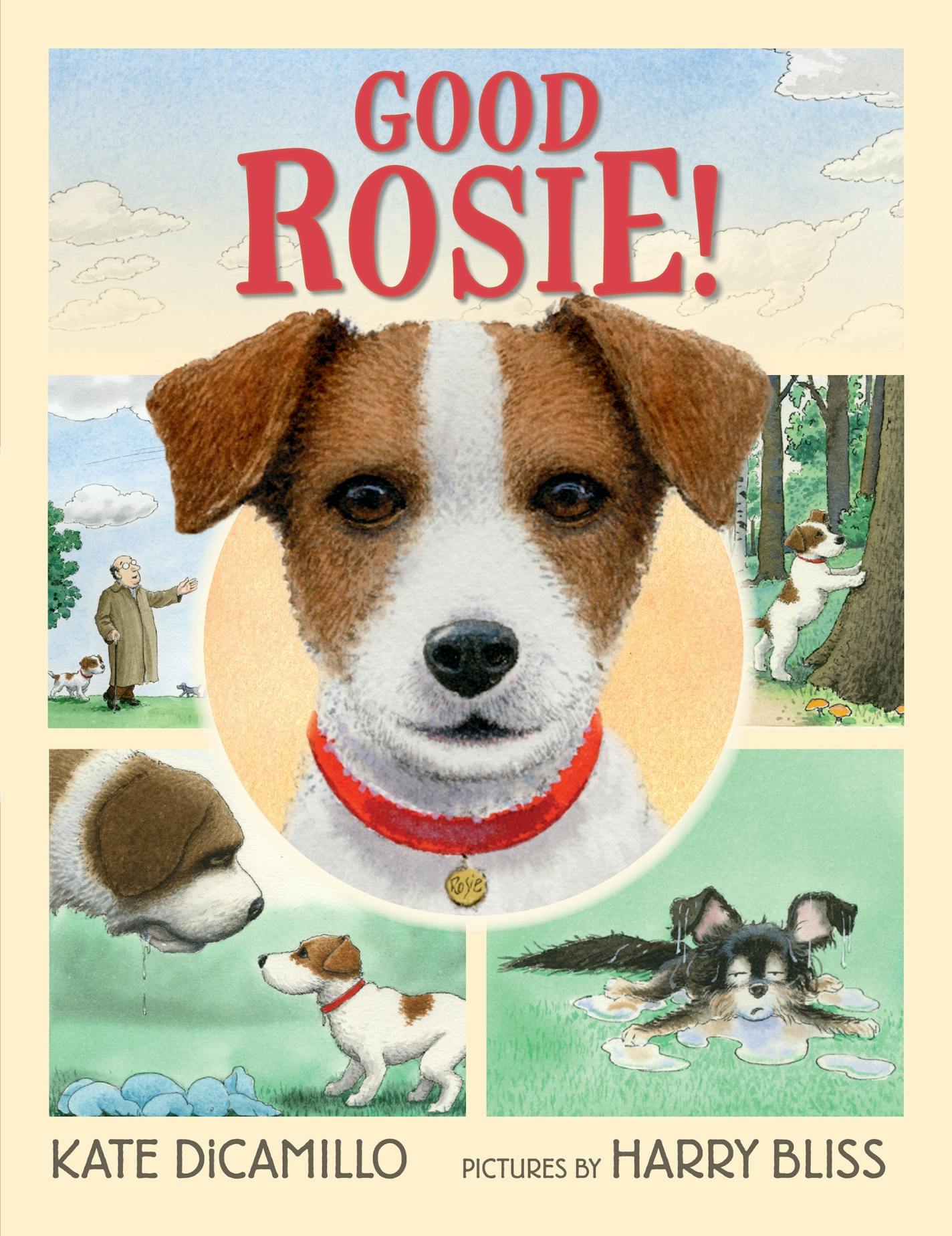 Good Rosie!, by Kate DiCamillo