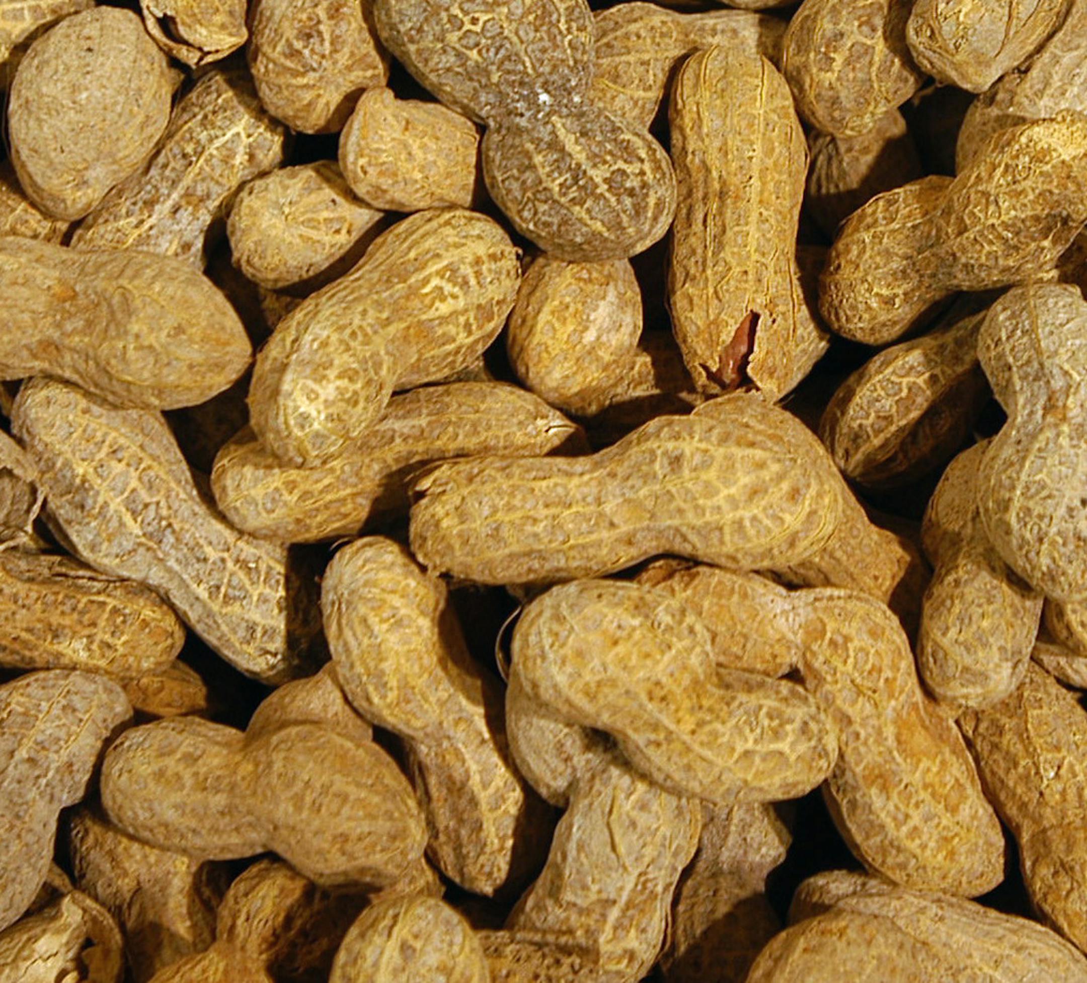 Shorewood, MN, Tuesday, January 13, 2004 -- Cub Foods in Shorewood, MN -- peanuts ORG XMIT: MIN2013101117315671