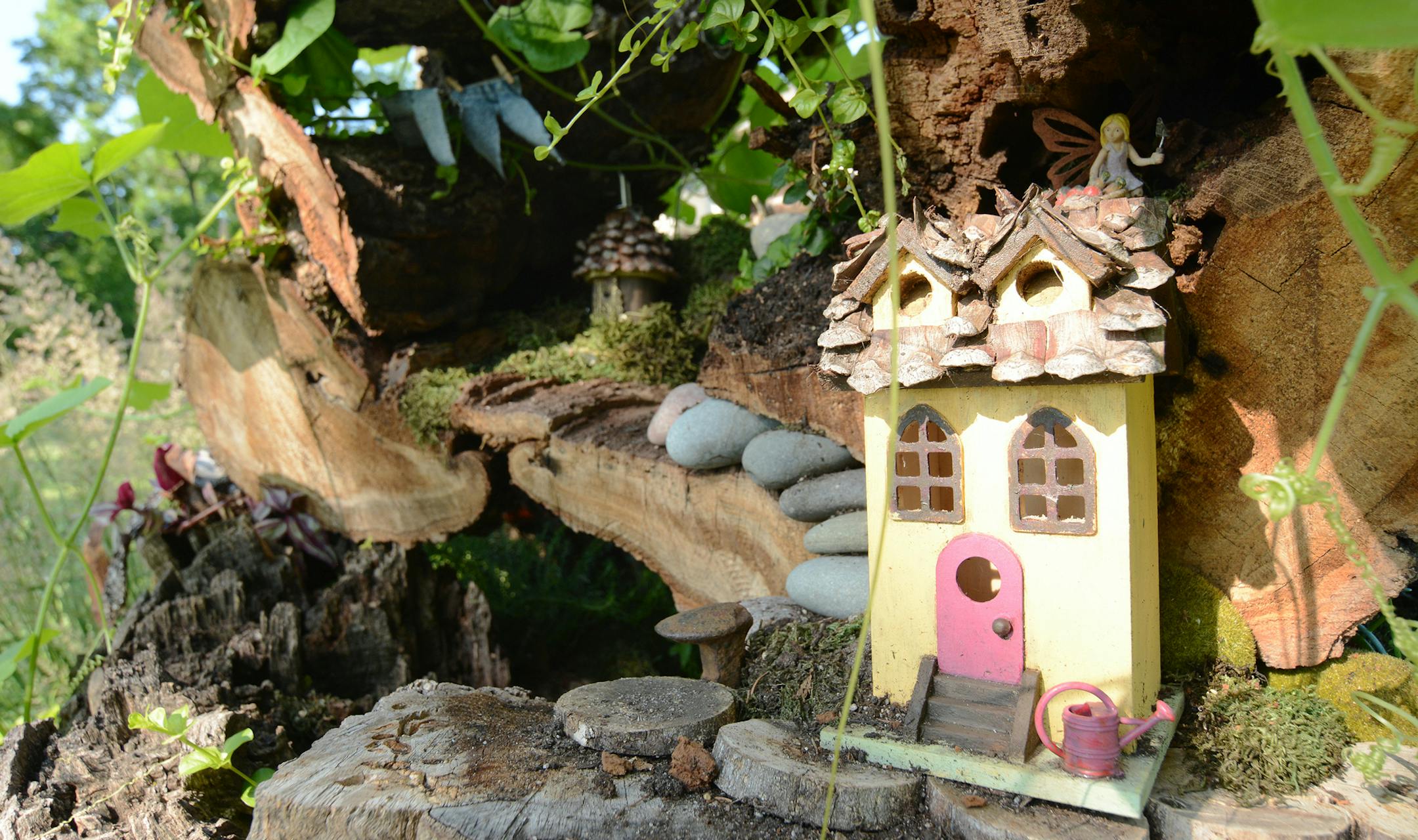 Vickie Coonrod planted tiny flowering plants on a hollow tree stump to turn it into a fairy garden. Her garden is one of 15 stops on the &#x201c;Sanctuaries&#x201d; tour in Hastings and Prescott, Wis.