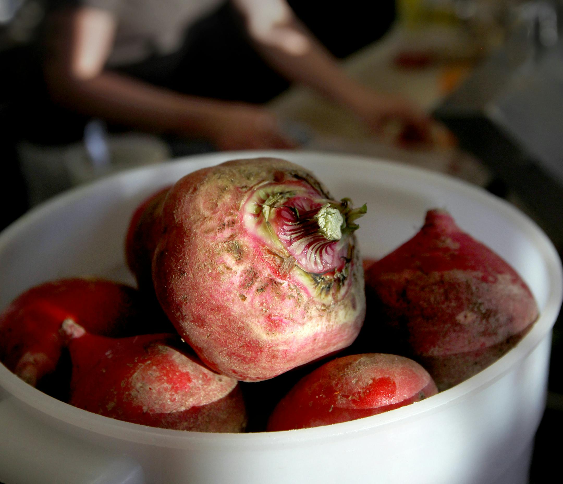 Fresh Beets on the kitchen counter fresh from the Wise Acre Eatery. ] TOM WALLACE &#x201a;&#xc4;&#xa2; twallace@startribune.com __Assignments #20018935A_ July 14, 2011_ SLUG: rn0728_ EXTRA INFORMATION: The Wise Acre Eatery restaurant, 5401 Nicollet Ave South, Mpls, MN, has been open for a couple months. People: A portrait of Chef, (CQ) Beth Fisher, and a portrait of Fisher and GM (CQ)Caroline Glawe. Food: Fried chicken, "Shades of Summer" salad, and the custard sundae of the day. _Names were CQ'