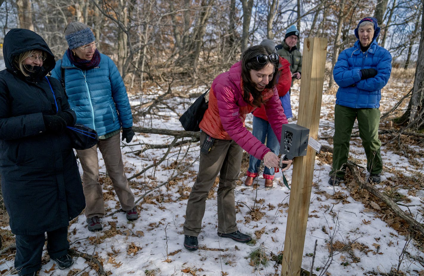 University of Minnesota Researcher Caitlin Potter showed volunteers one of the many cameras that are being used to document what kinds of animals are in the area, during a class about the new "Eyes on the Wild" project at Cedar Creek, Tuesday, January 8, 2019 in East Bethel, MN. This is an effort to seek the public's help in sorting through one million wildlife photos snapped by a network of cameras set up over the last year within a 5,400-acre research area stretching across northern Anoka Coun