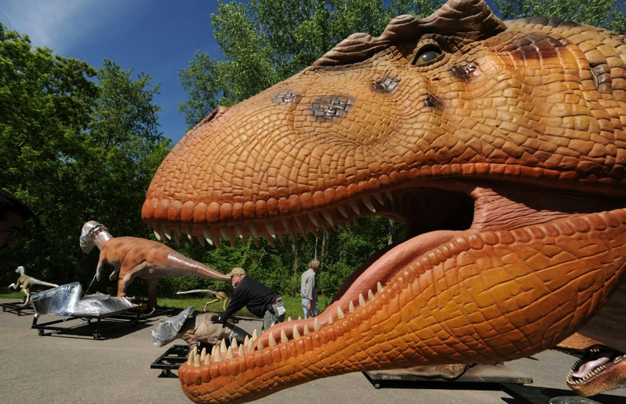 Zoo exhibit, "Dinosaurs"
