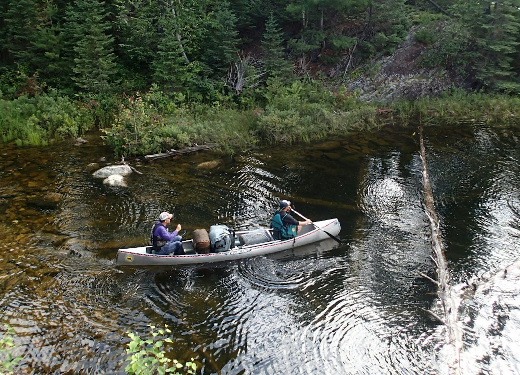 Greg Swenson and Erik Skafte paddle a remove lake in Quetico Provincial Park.