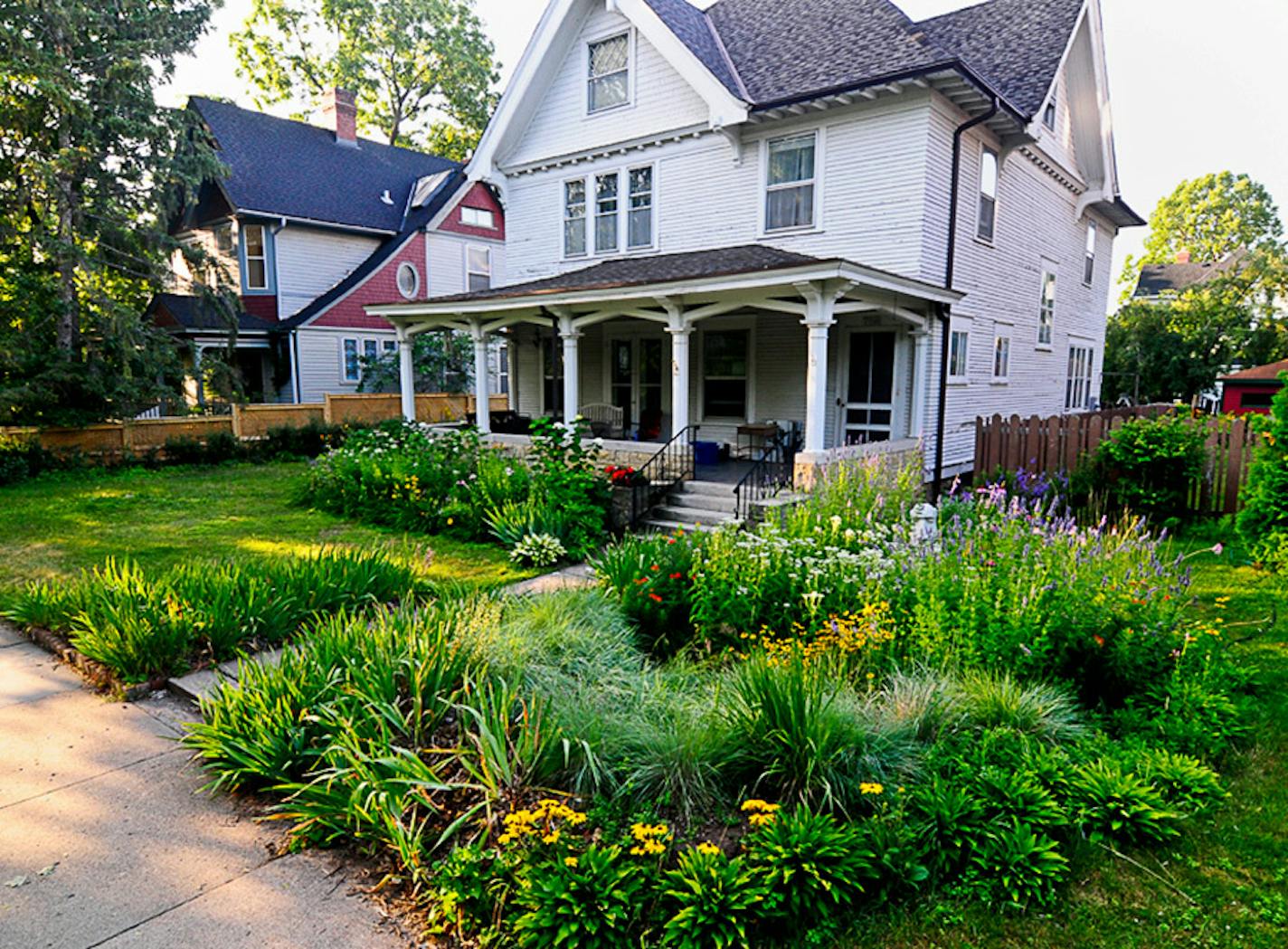 An example of native landscaping in the north suburbs. Photo credit: Adrian Danciu