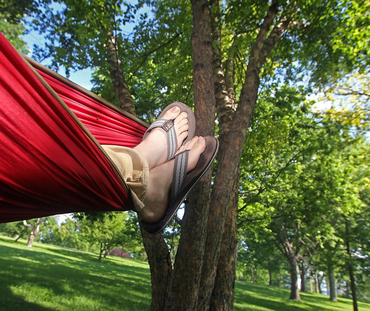 Benjamin Davis spent his morning swaying in a hammock at Washburn Fair Oaks Park, Tuesday, July 14, 2015 in Minneapolis, MN. Davis is helping in bringing hammocking o the Twin Cities for National Hammocking Day July 22. ] (ELIZABETH FLORES/STAR TRIBUNE) ELIZABETH FLORES &#x2022; eflores@startribune.com