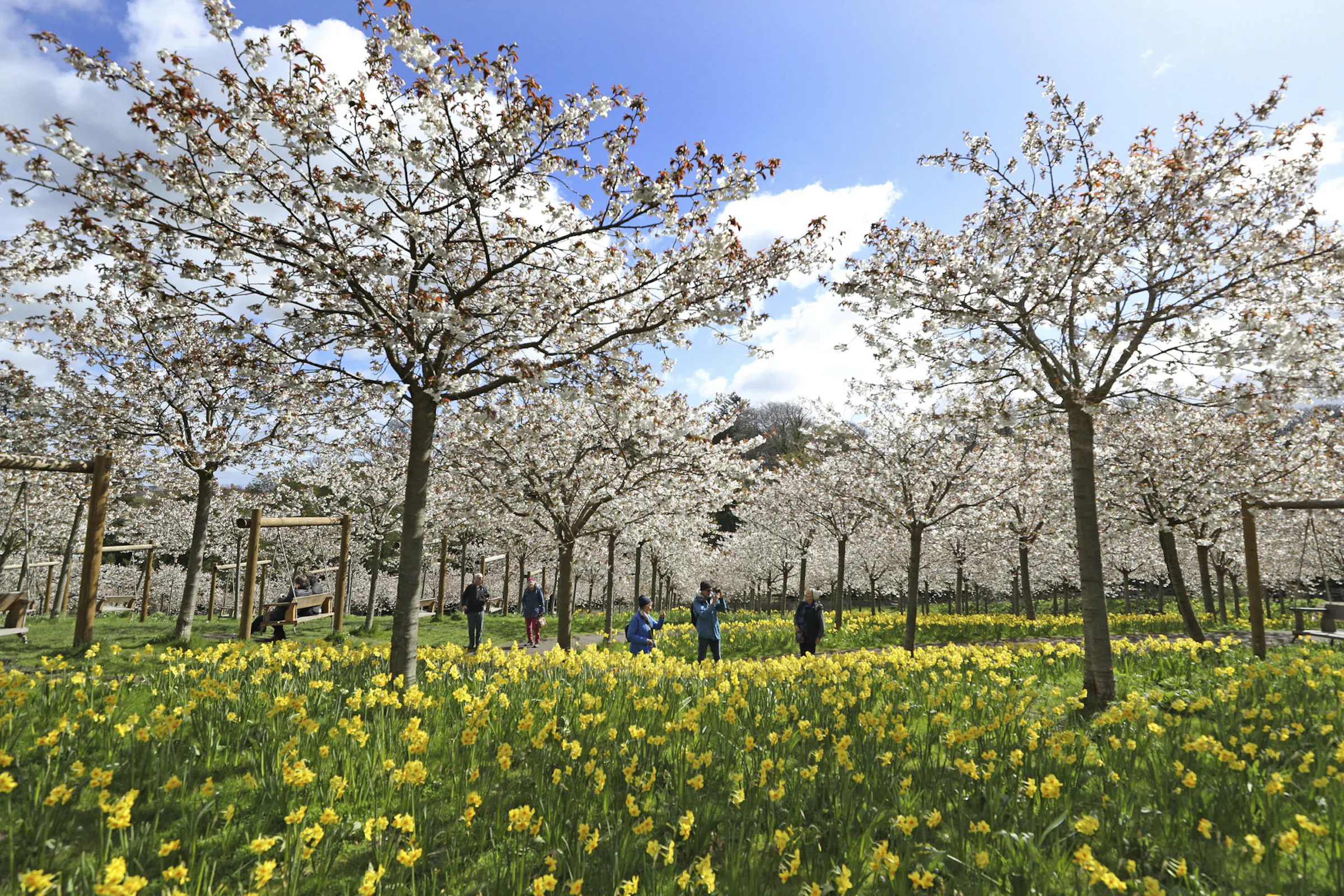 Spring tree care – less is more when it comes to fertilizer