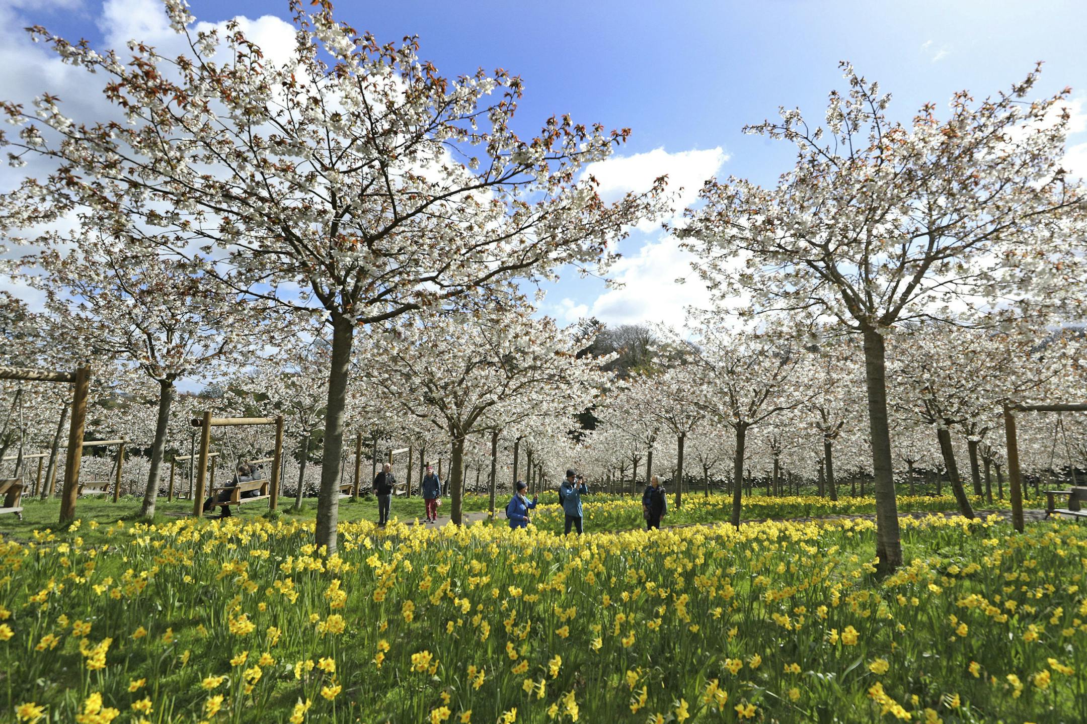 If you're trying to grow a grove of trees, first find out what your soil is like. Chances are you won't need fertilizer.