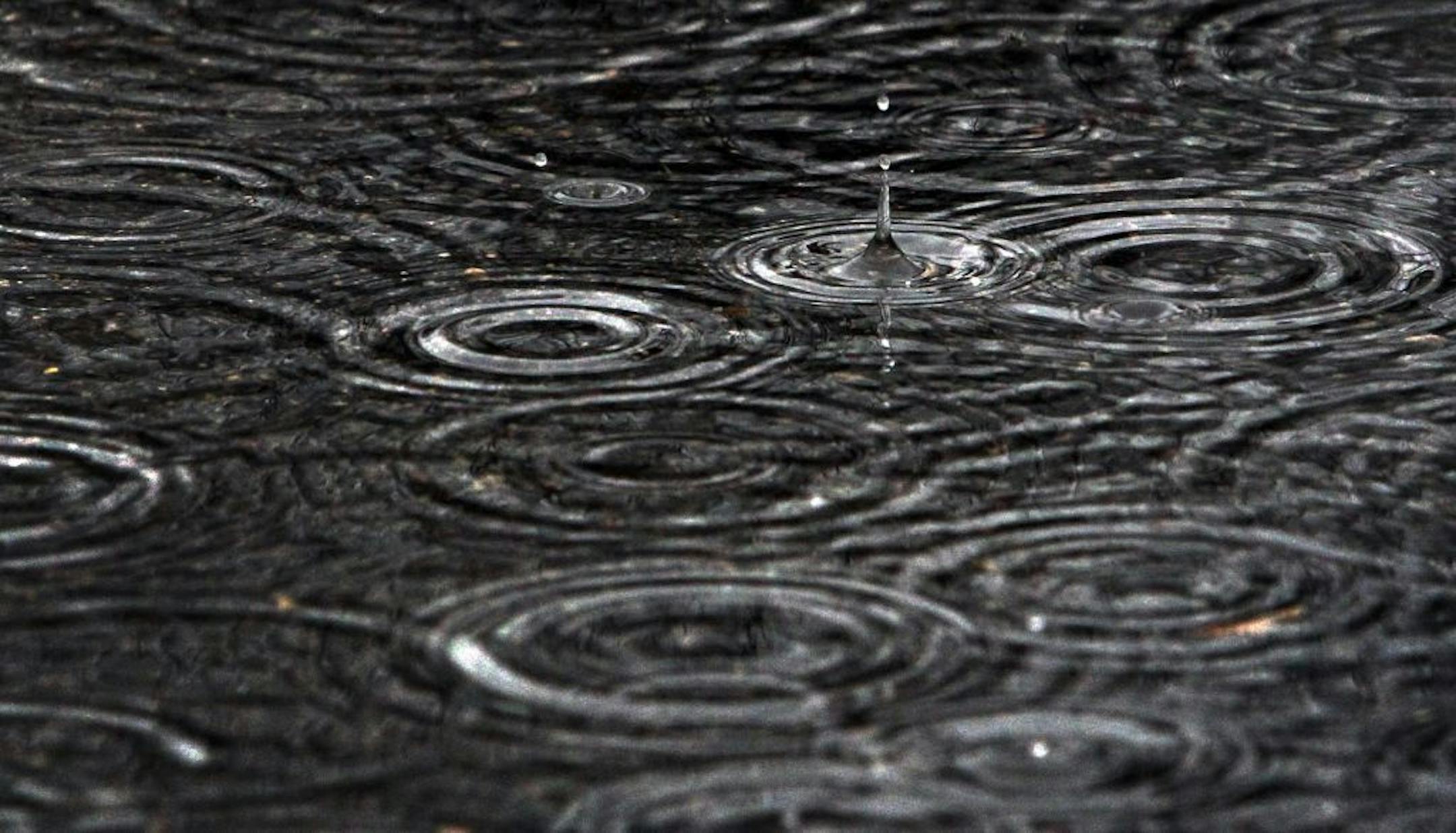 Precipitation - either as rain, sleet or an April snow shower will dominate the metro and state weather into Thursday, as evidenced by rain falling on this puddle in south Minneapolis Tuesday, April 9, 2013.