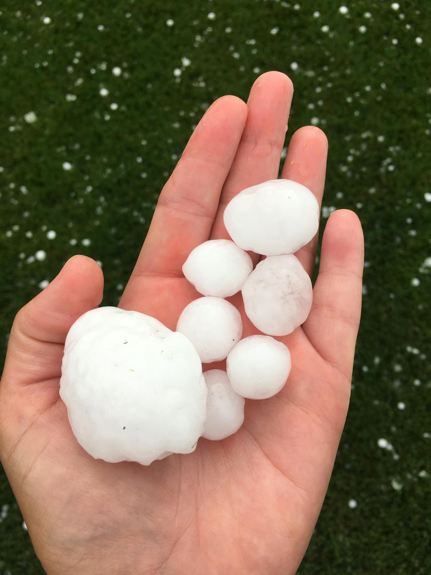 Hail that fell in Maple Grove during Monday's storm.