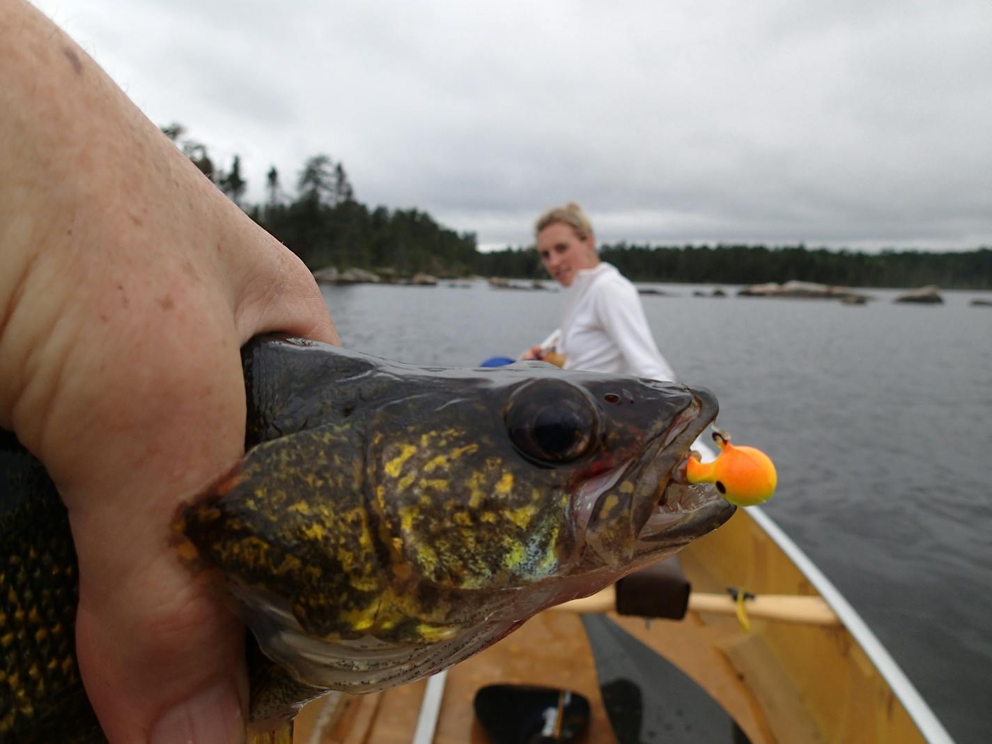 The walleyes were biting during a recent five-day trek to the BWCA.