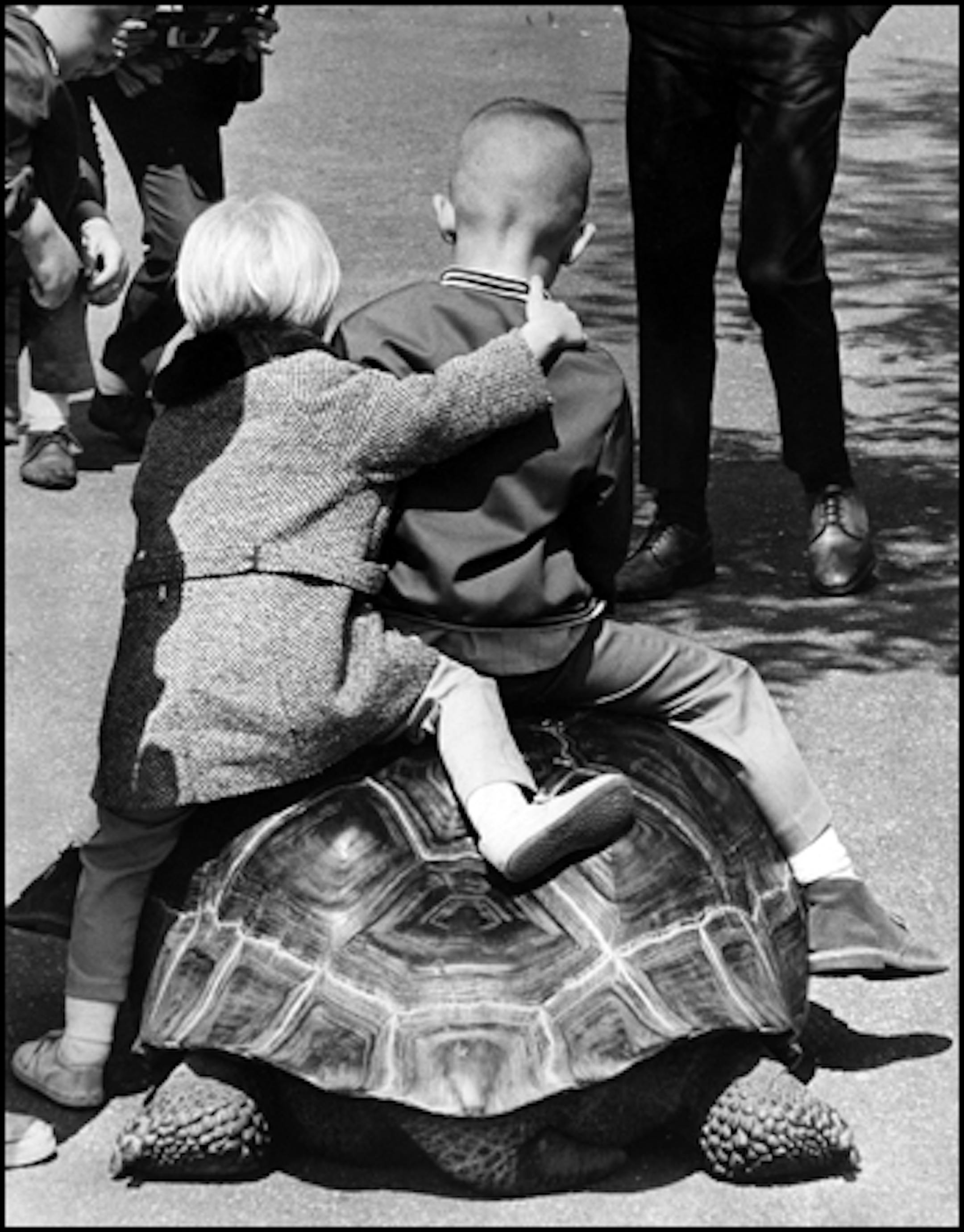 May 12, 1968: Como Zoo tortoise. "It's slow, but who wants to hurry?"