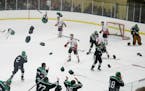 Hockey gear flew at the conclusion of Hill-Murray's 3-1 win over White Bear Lake during Boys' hockey, Class 2A, Section 4 final Friday, March 2, 2018,