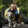 Above: When Dudley, a 10-year-old beagle, went missing from his Bloomington home, owner Theresa Eilertson contacted the Retrievers to bring him back.