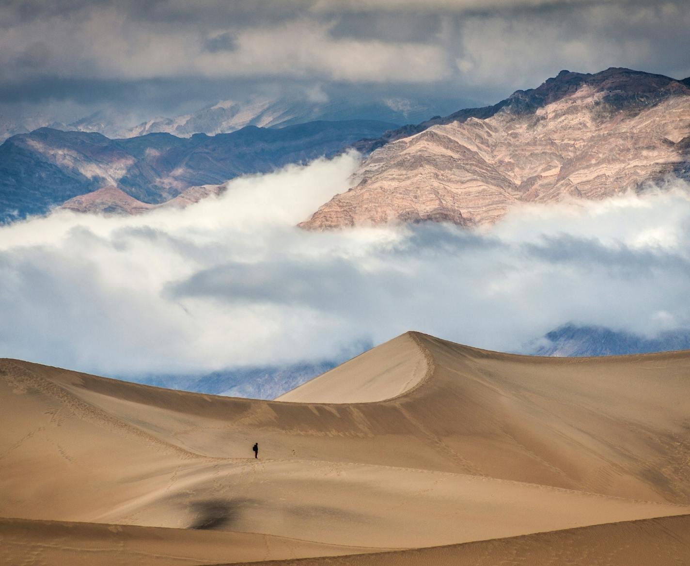 I'm currently a sophomore at St. Olaf college, majoring in Environmental Studies. I took this photo last December in Death Valley National Park (at the Mesquite Flat Dunes, to be precise). I had dreamed about taking pictures there for years (since I read about it in a photography magazine) and it certainly didn't disappoint! The park's landscape is just breath taking, and I would love to see it more widely appreciated. Our national parks are one of our country's greatest treasures, and Death Val