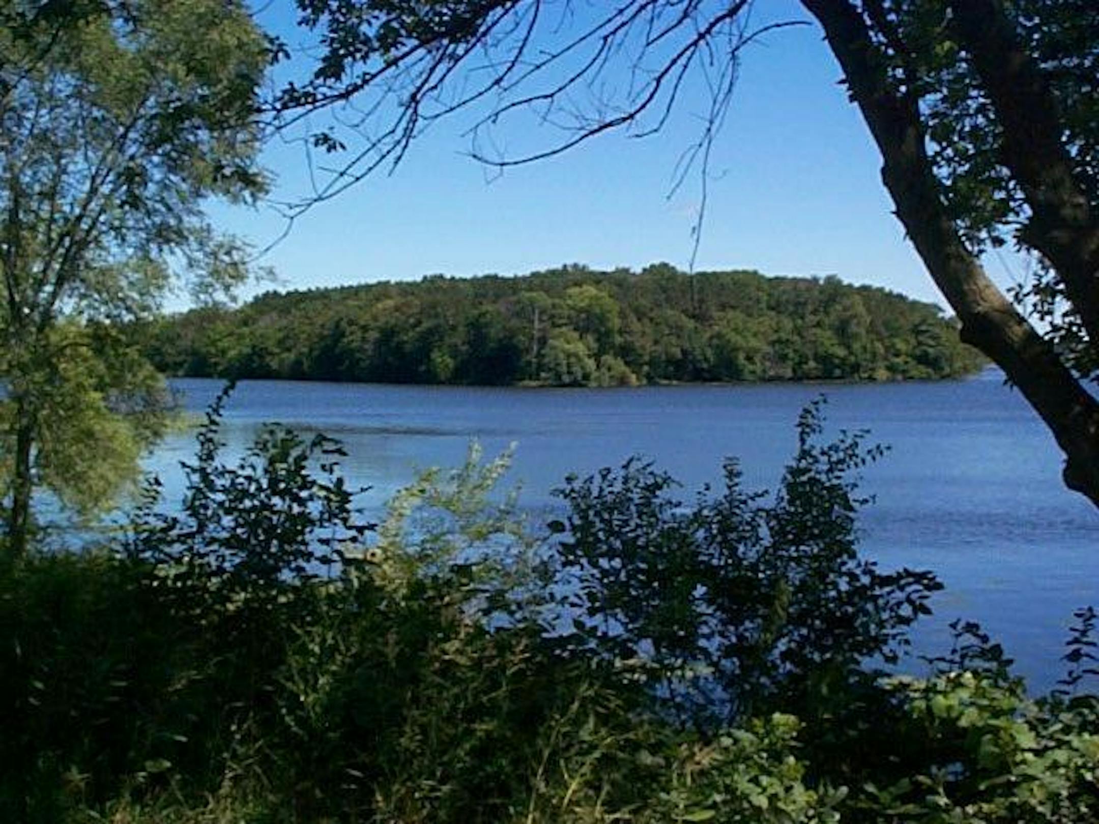 Island bought by Ronald D. Johnson.