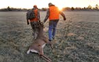 Changes in agriculture, better access to hunting areas due to drought and a cultural shift toward passing on young bucks have helped upgrade this year
