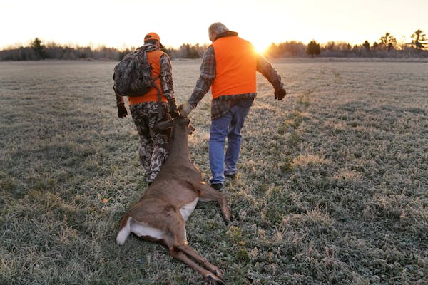 To experience Minnesota's deer hunting boom, drive ... south?