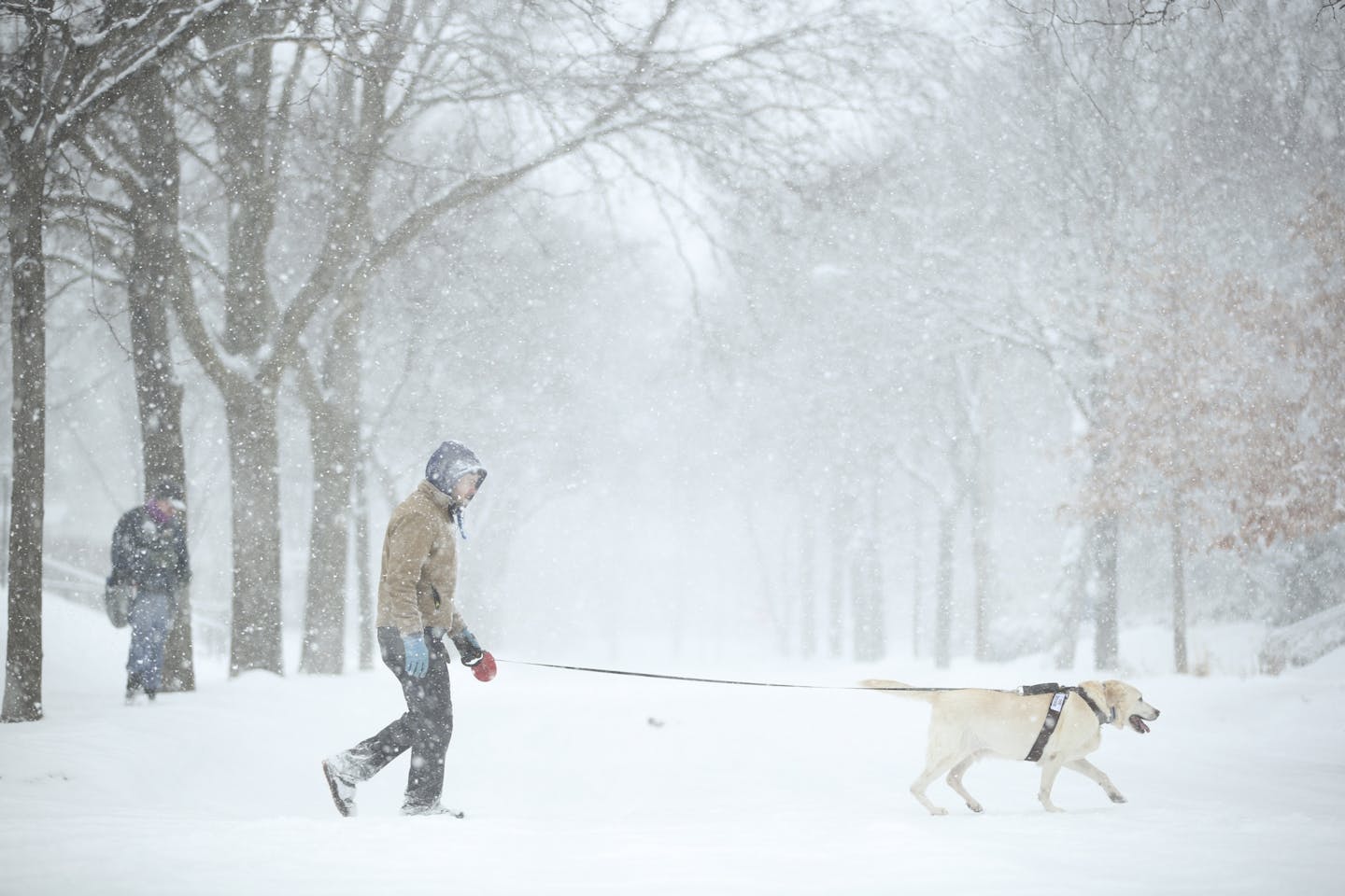 A man and his dog crossed Fremont Avenue S. in Minneapolis on Tuesday afternoon as snow began accumulating.