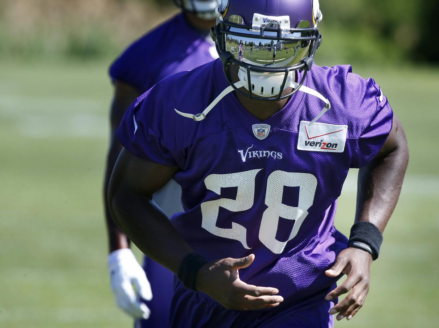 Minnesota Vikings running back Adrian Peterson (28)