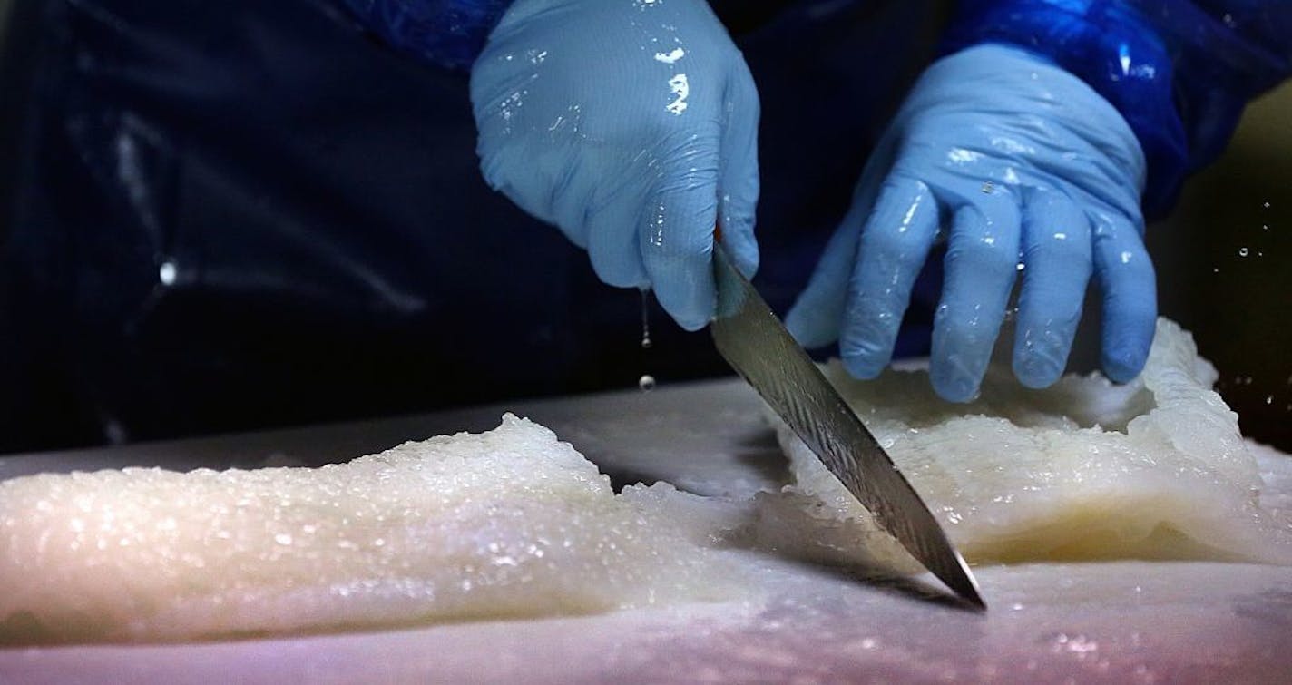 After cod is treated in a solution, the resulting lutefisk is ready to cut and package for market.