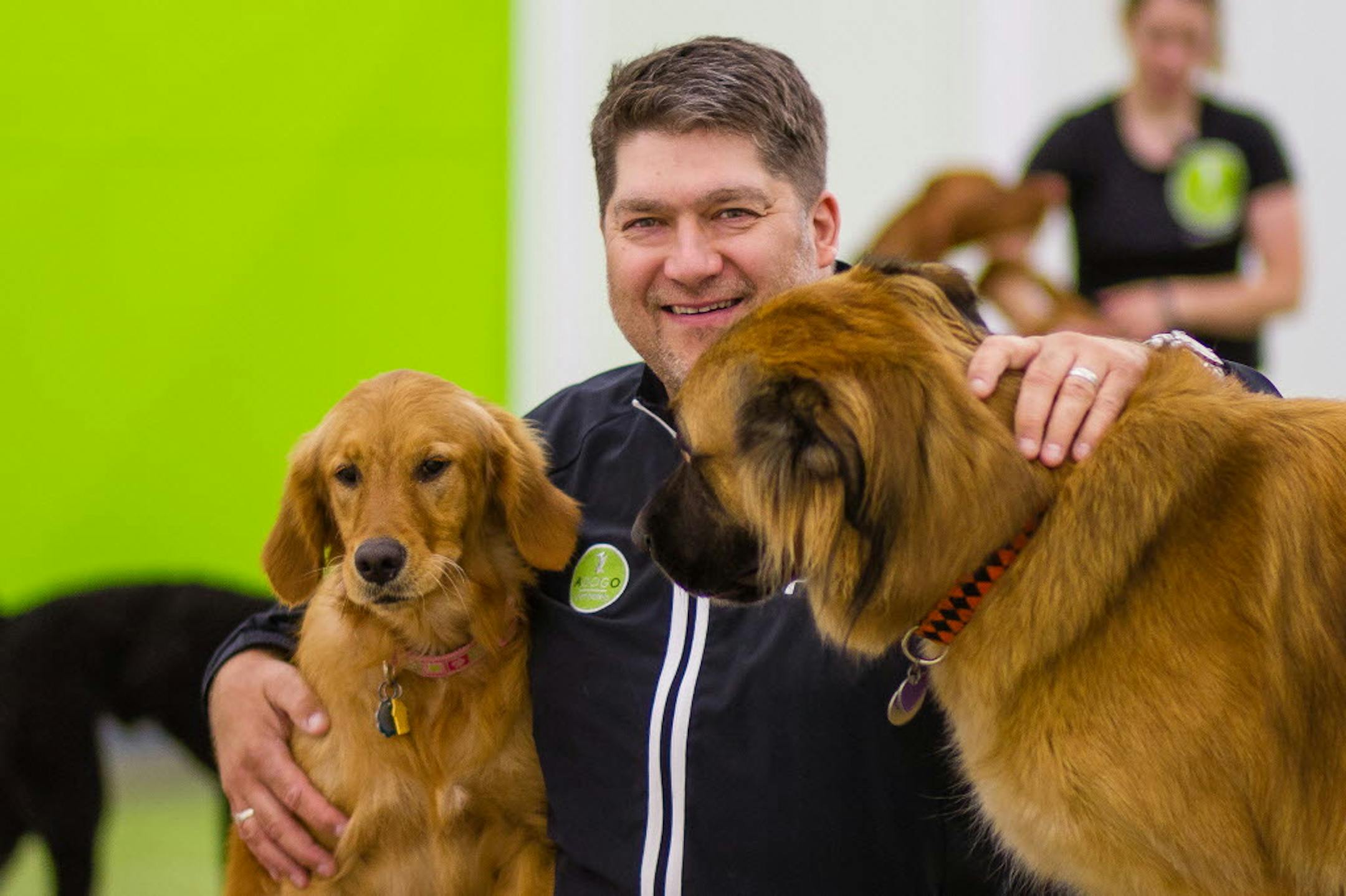 John Sturgess, founder of Adogo Pet Hotels in Minnetonka and Maple Grove, at one of his west metro locations in 2014.
