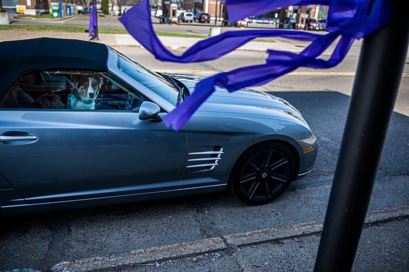 Cindy Welk, owner of the Snout Saloon and her dog, headed off after picking up a "Justice of Lily" sign at Main Street, a nonprofit run by Teri Ouimette that supports local businesses in Chippewa Falls, Wis., on Wednesday, April 27, 2022. Iliana "Lily" Peters was found murdered a couple days ago in a wooded park area near the Jacob Leinenkugel Brewing Company. The suspect is arraigned today as the community grieves.] RICHARD TSONG-TAATARII • richard.tsong-taatarii@startribune.com