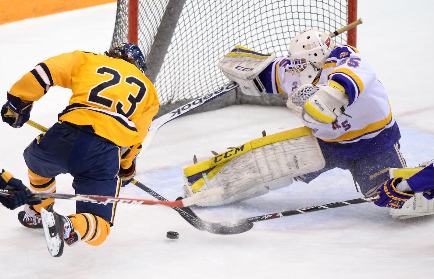 Cretin-Derham Hall goalie Mike Magnuson boasted a 2.09 goals-against average and .923 save percentage last season.