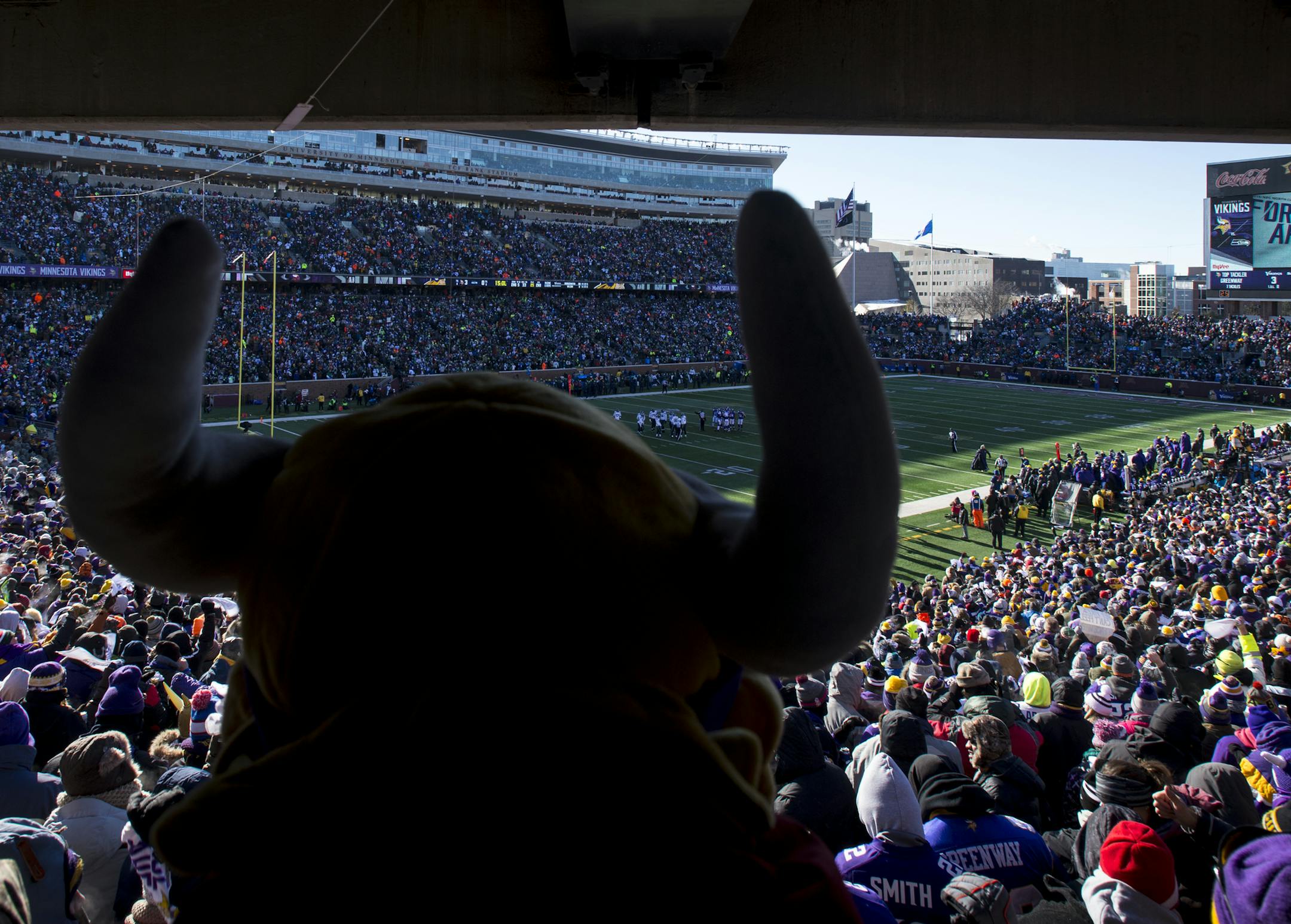 Marty Feldman, of Dallas but originally from Apple Valley, watched the Vikings during the first quarter of Sunday's game against the Seattle Seahawks. ] (AARON LAVINSKY/STAR TRIBUNE) aaron.lavinsky@startribune.com The Minnesota Vikings played the Seattle Seahawks in the Wild-Card round of the NFL Playoffs on Sunday, Jan. 10, 2016 at TCF Bank Stadium in Minneapolis, Minn.