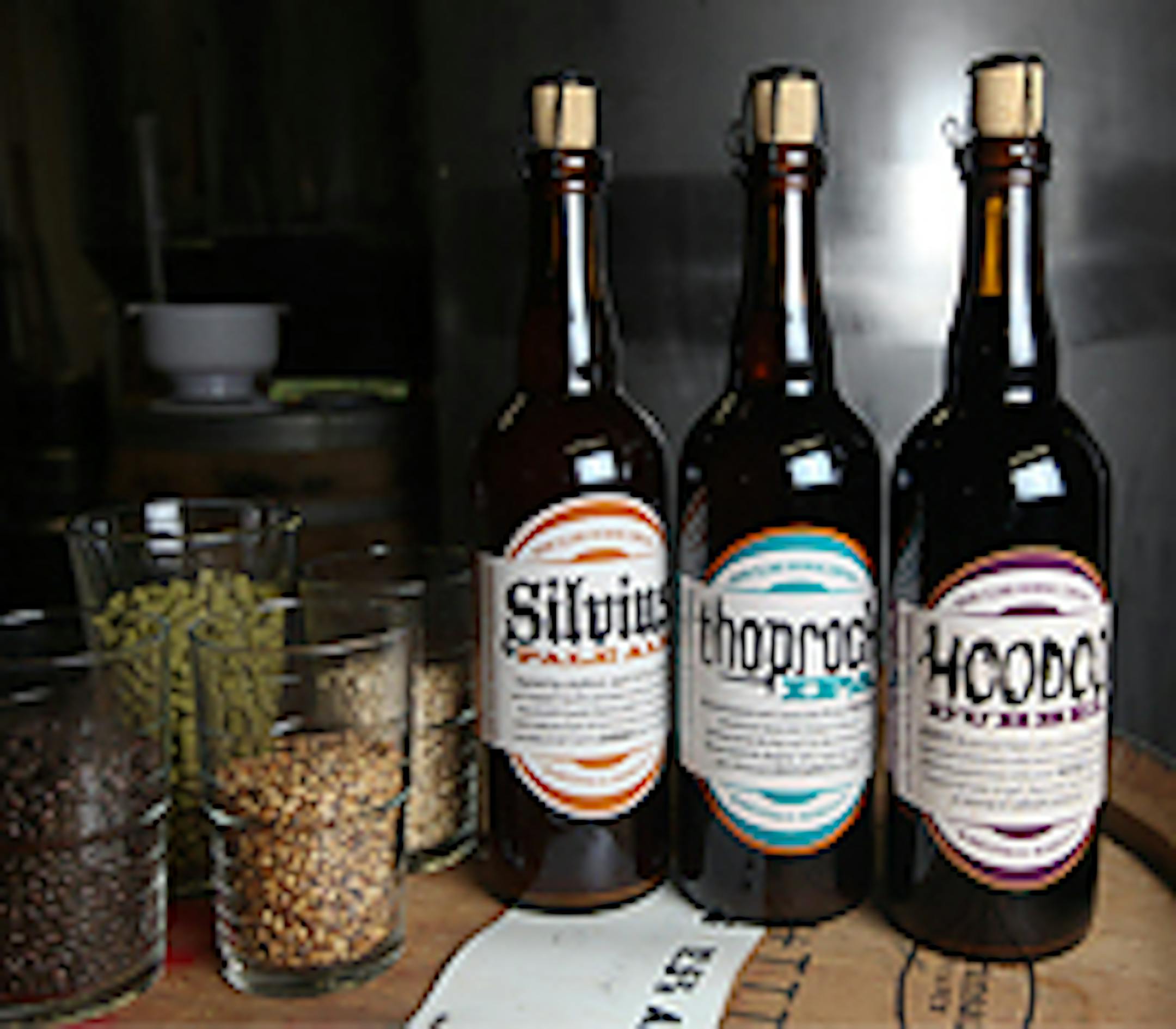 A sampling of the Boom Island Brewery beers