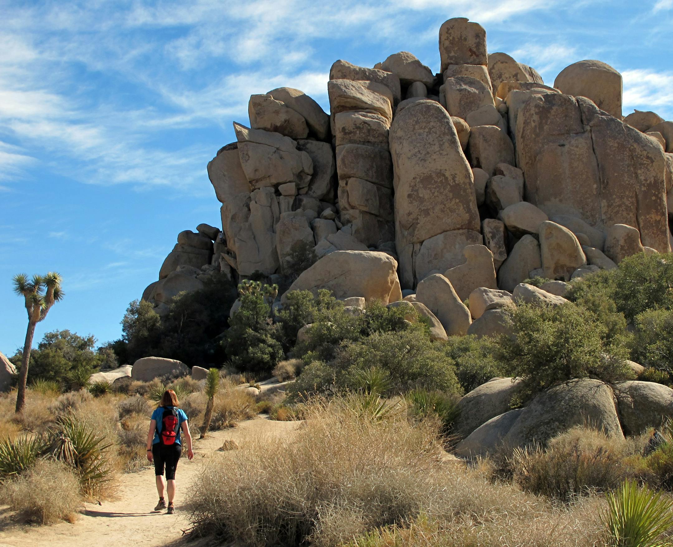 Joshua Tree National Park, 45 minutes from Palm Springs offers a variety of hiking trails and is popular with rock climbers. ( also the site of Gram Parsons cremnation) ] Tom Sweeney, Star Tribune, February 2012