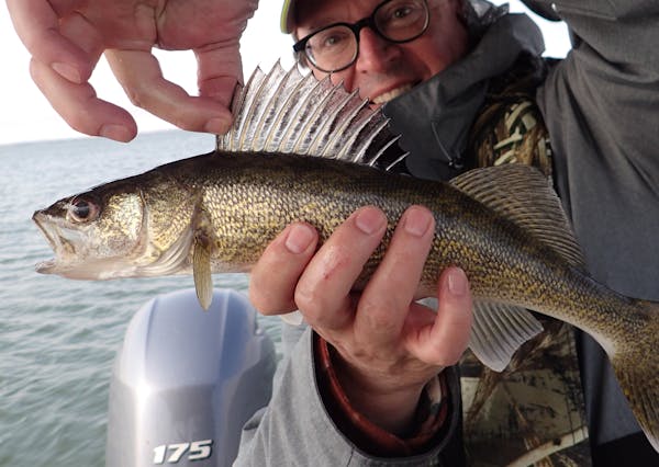 A bill advancing in the state Senate seeks to establish an advisory group made up of citizens and legislators to improve walleye fishing in Minnesota 