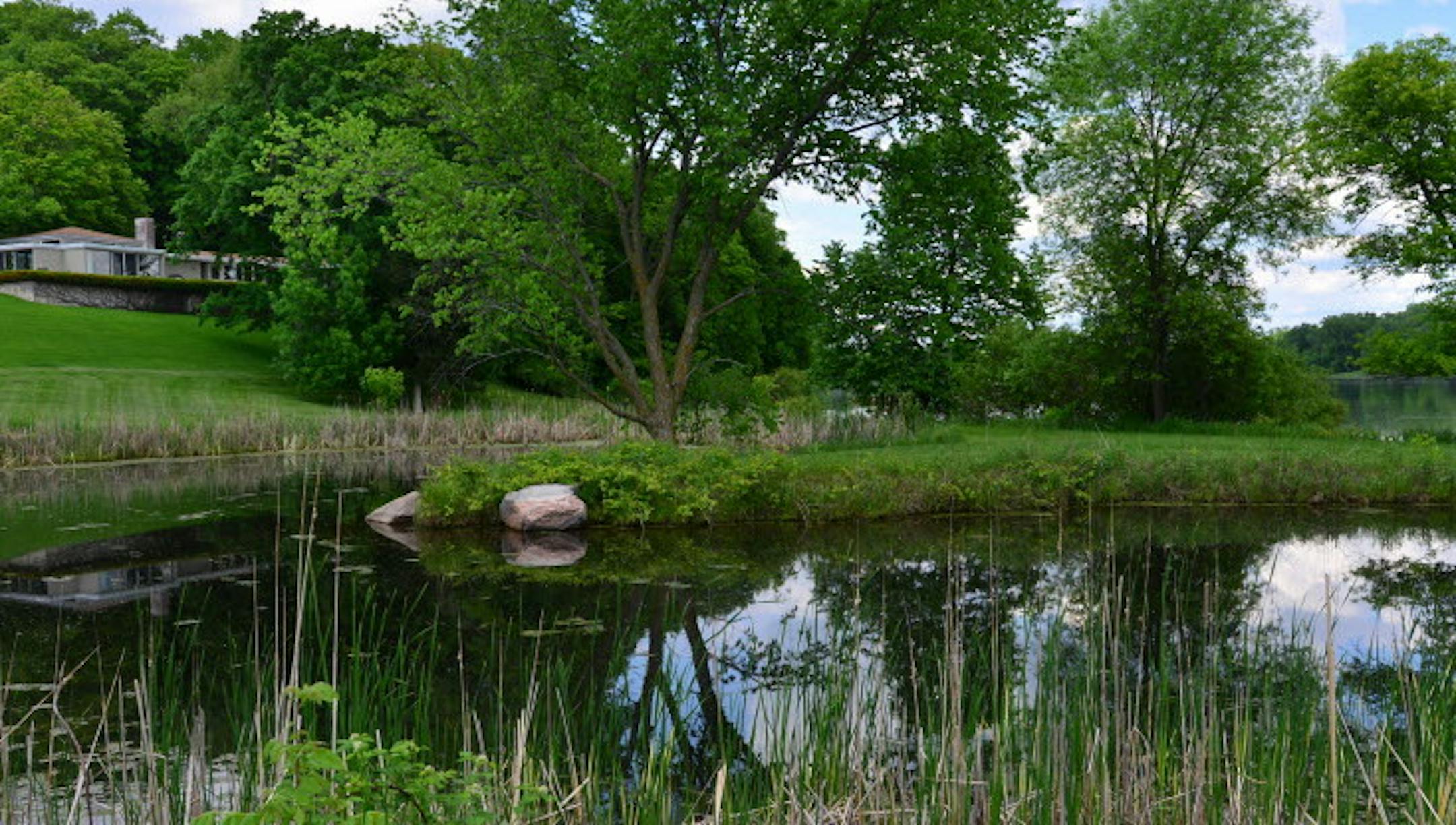 FILE PHOTO FROM 2014. When Doug Dayton bought nearly 100 acres of woods and fields just a few minutes north of Wayzata, he vowed to create a refuge of waving grasslands, knotted walking trails and placid ponds. The place would become a refuge from the demands of running the family department store, and a place to raise his family. He restored nearly 40 acres of native prairie grasslands and forbs, and hand-planted hundreds of plum trees, oaks and pines that now tower over the sprawling ranch hom