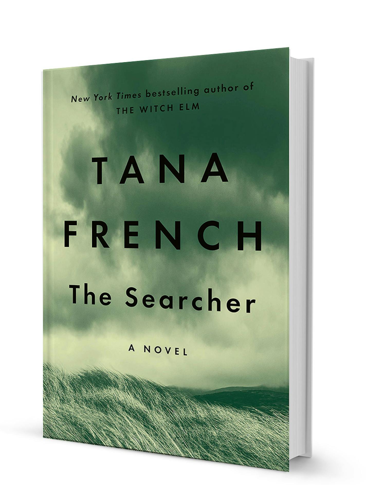 "The Searcher" by Tana French