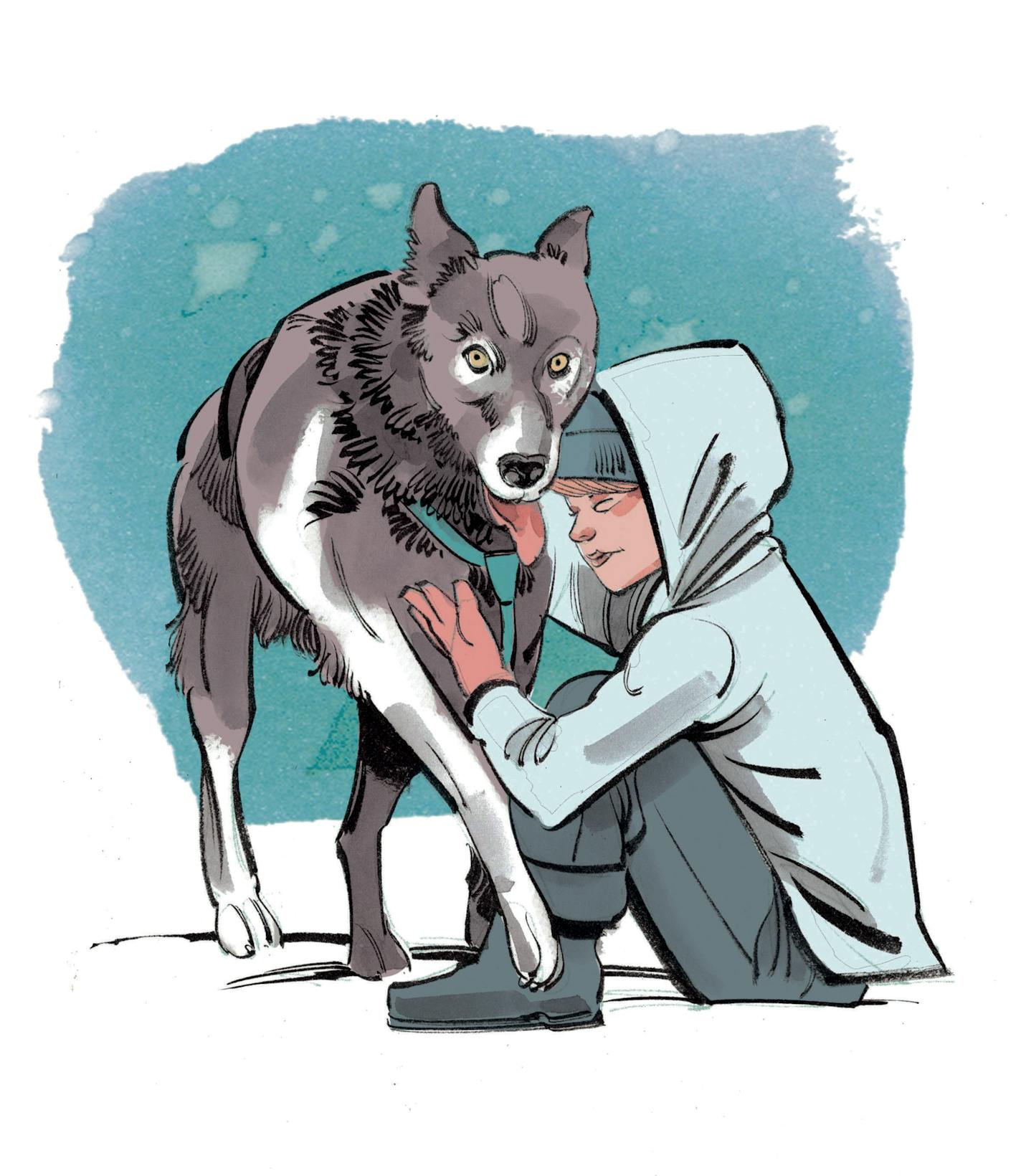 Illustration for sled dog package, Outdoors Weekend