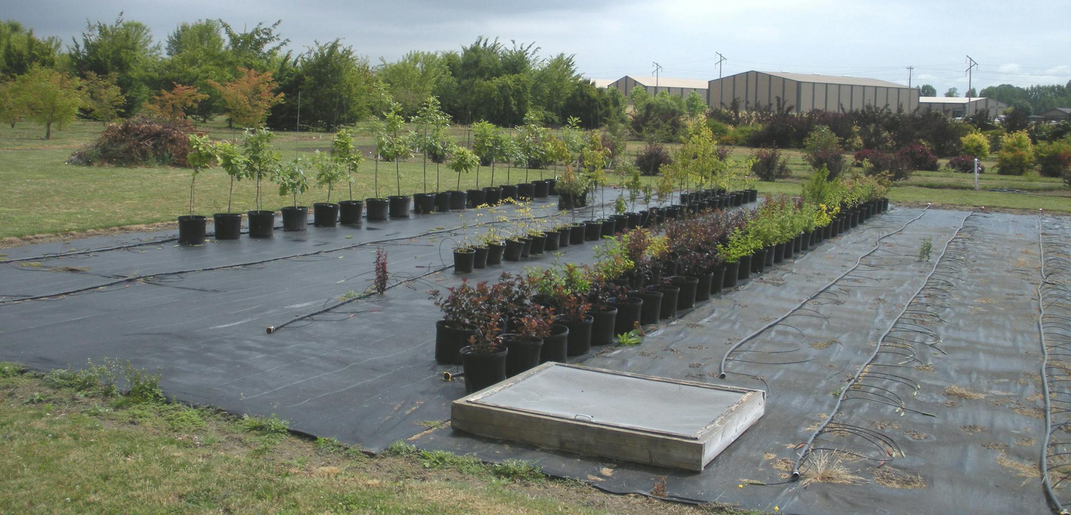 Handout photo: The Minnesota Landscape Arboretum's new research center in Oregon's Williamette Valley.