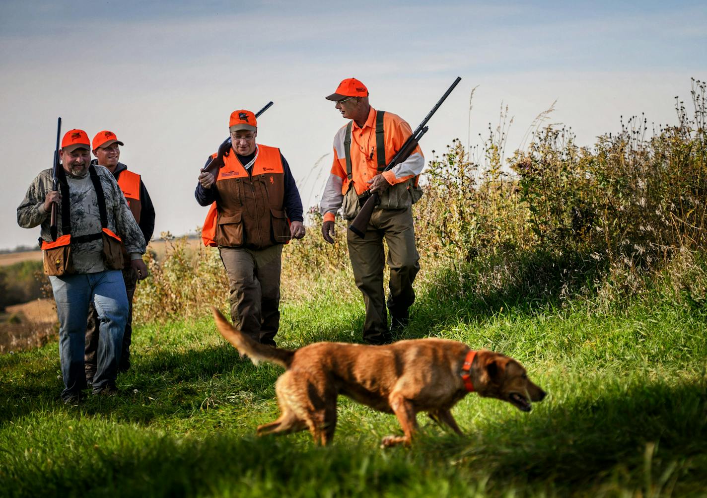 DNR Commissioner Tom Landwehr, right, looked for pheasants near Mankato with landowner Tom Bauman, left, his friend Jeremiah Anderson, Mankato mayor Eric Anderson and Landwehr's yellow lab Winnie. ] GLEN STUBBE * gstubbe@startribune.com Friday, October 10, 2015 Profile of DNR Commissioner Tom Landwehr, who has one of the most difficult jobs in state government as head of the Dept. of Natural Resources. His hands are in some of the messy political issues of the day, including water pollution, min