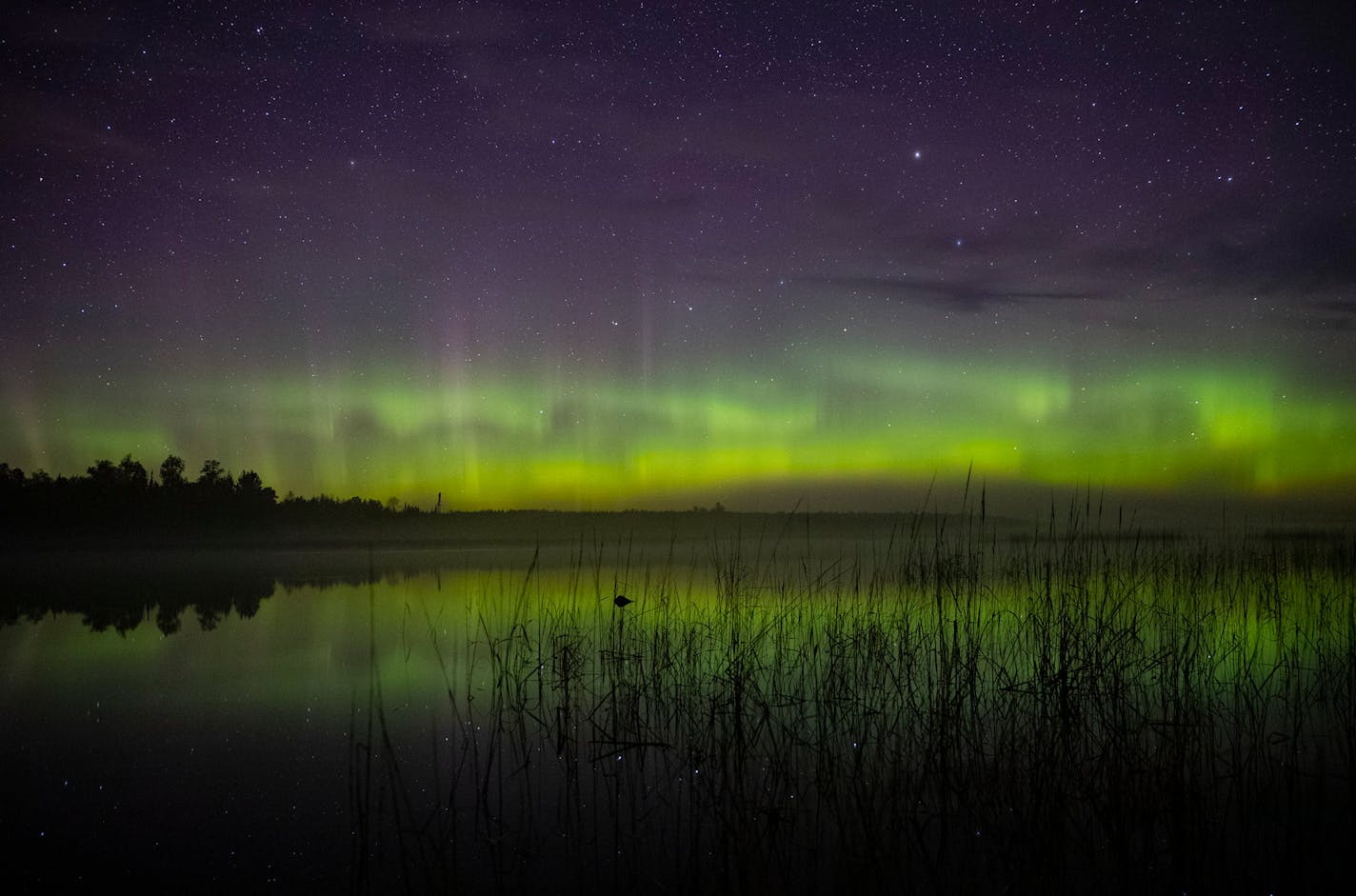 The aurora borealis could be seen on the North horizon in the night sky over Wolf Lake in the Cloquet State Forrest around midnight on Saturday morning.]
ALEX KORMANN • alex.kormann@startribune.com The KP index was high in the early morning hours of Saturday September 28, 2019 which meant the aurora borealis aka "the Northern lights" were visible from Northern Minnesota.