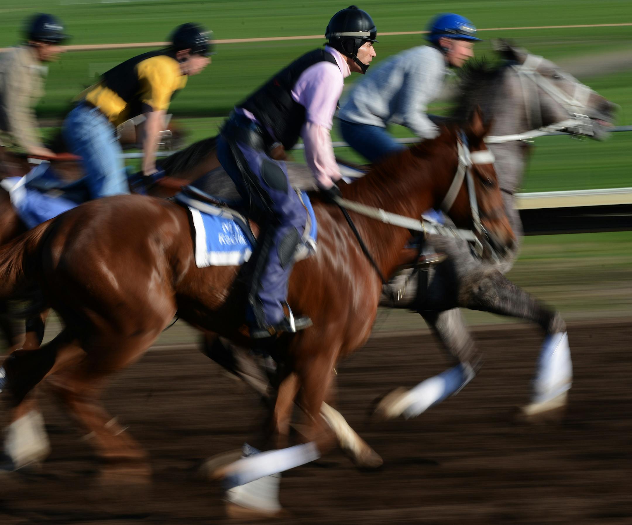 Canterbury Park opens its season Friday with great optimism after several years of struggle. A deal it made with the Shakopee Midewakanton tribe has boosted purses significantly, attracting new trainers with more horses of better quality. The track's barns are full for the first time in years, and there is a waiting list. The track was crowded with riders during the morning workout ] Richard.Sennott@startribune.com Richard Sennott/Star Tribune. , Shakopee Minn. Tuesday 5/14/13) ** (cq) ORG XMIT: