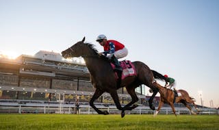 Florent Geroux atop Stitched easily won the $150,000 Mystic Lake Derby turf race last June 22 at Canterbury Park. This season's meet begins Saturday w