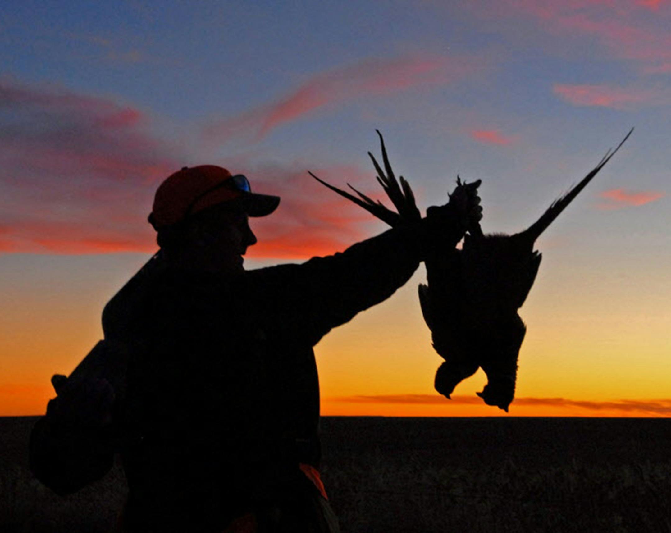 Everyone agrees lead is a toxin better kept out of the environment. But should pheasant and other hunters on southern Minnesota wildlife management areas be required to use non-toxic shot instead of lead, when detrimental effects to wildlife on these lands by the latter are unproven? Otherwise considered an "environmental'' group, Pheasants Forever, headquartered in Minnesota, says no, due to the lack of research. The group also rejects the lead ban idea because, it says, most of its 135,000 mem