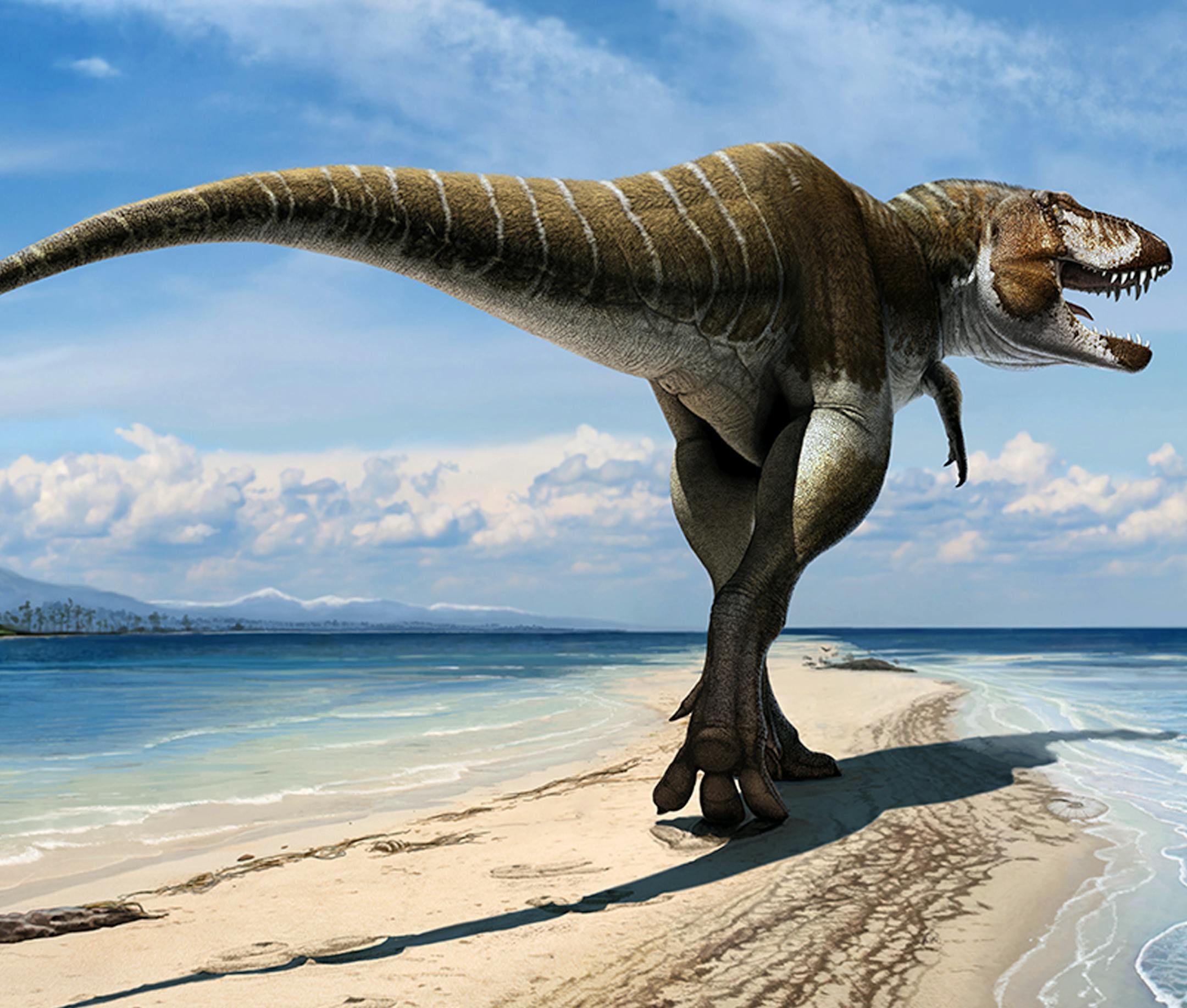 This artist's rendering released by the Natural History Museum of Utah, shows a newly-discovered dinosaur, Lythronax argestes, whose fossils have been found in southern Utah. Paleontologists say this proves giant tyrant dinosaurs like the Tyrannosaurus rex were around 10 million years earlier than previously believed. (AP Photo/Natural History Museum of Utah, Audrey Atuchin)