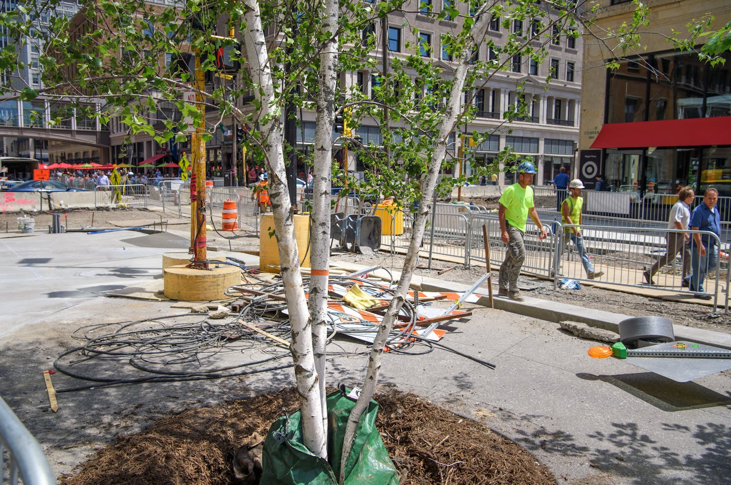 Nicollet Mall was still a construction zone Friday, but workers had begun planting trees, including birch, in the downtown corridor.