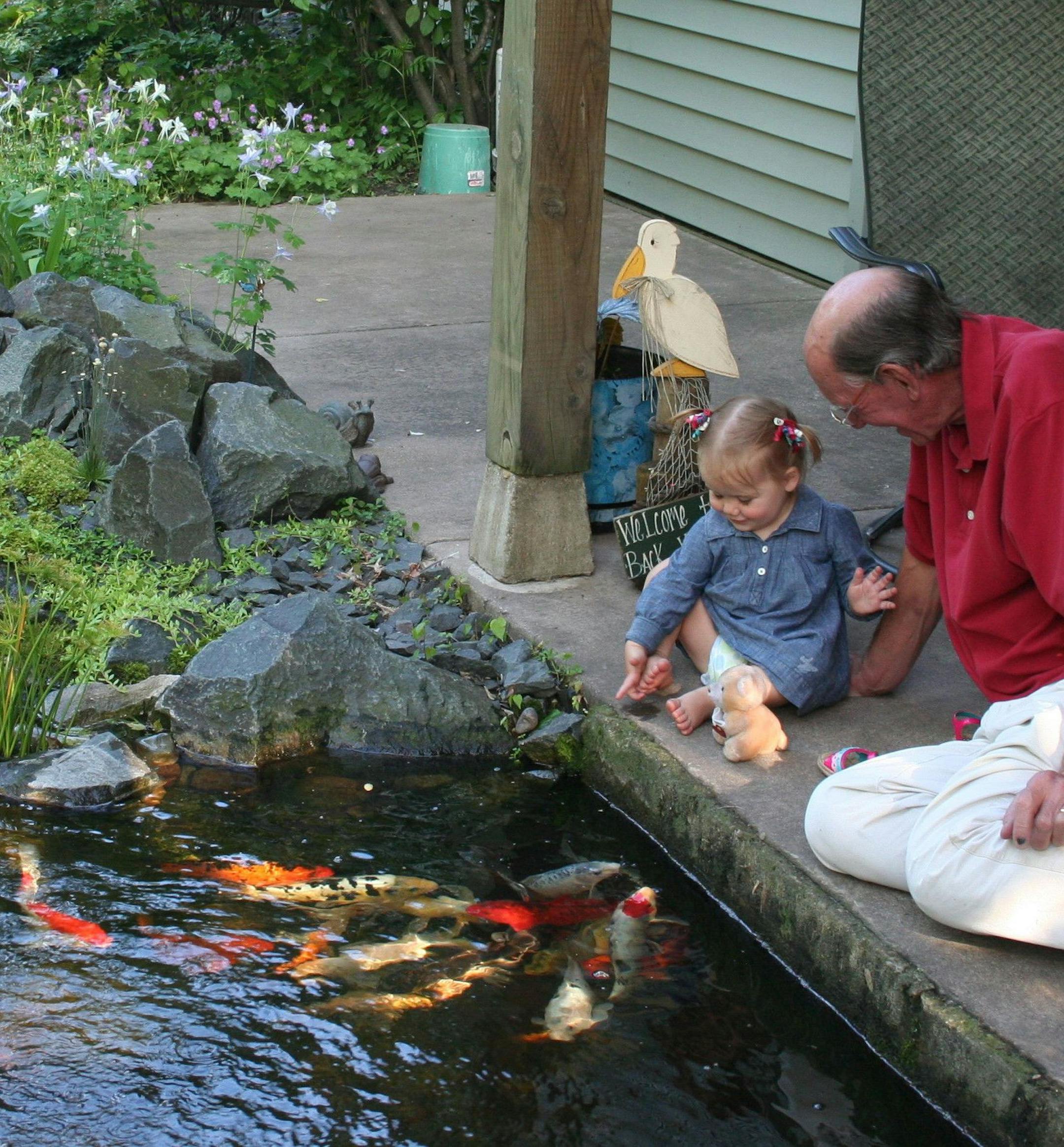 Water gardener Gary DeGrande's expansive koi pond in White Bear Township will be featured on the Minnesota Water Garden Society Tour July 28-29.